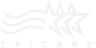 logo-4-1